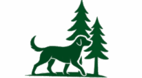 Spirito del bosco